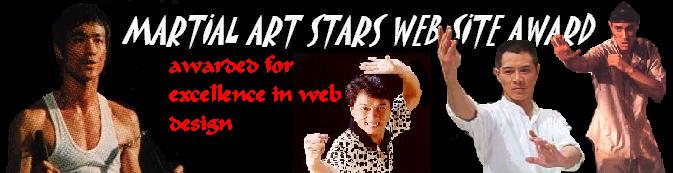 Martial Arts Stars Website Award